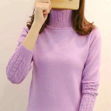 Sweater Turtleneck Pullovers Autumn Winter Sweaters Long Sleeves Thick Warm Sweater