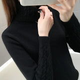 Sweater Turtleneck Pullovers Autumn Winter Sweaters Long Sleeves Thick Warm Sweater